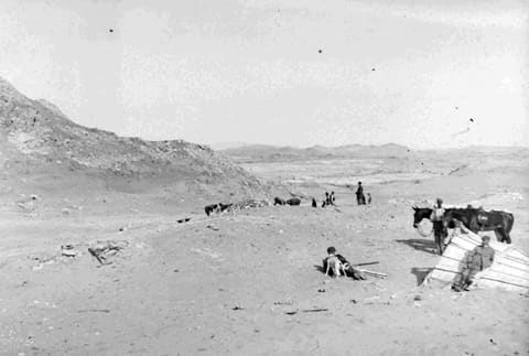 Weite Landschaft im Sperrgebiet mit Arbeitern und Tieren, historische Aufnahme